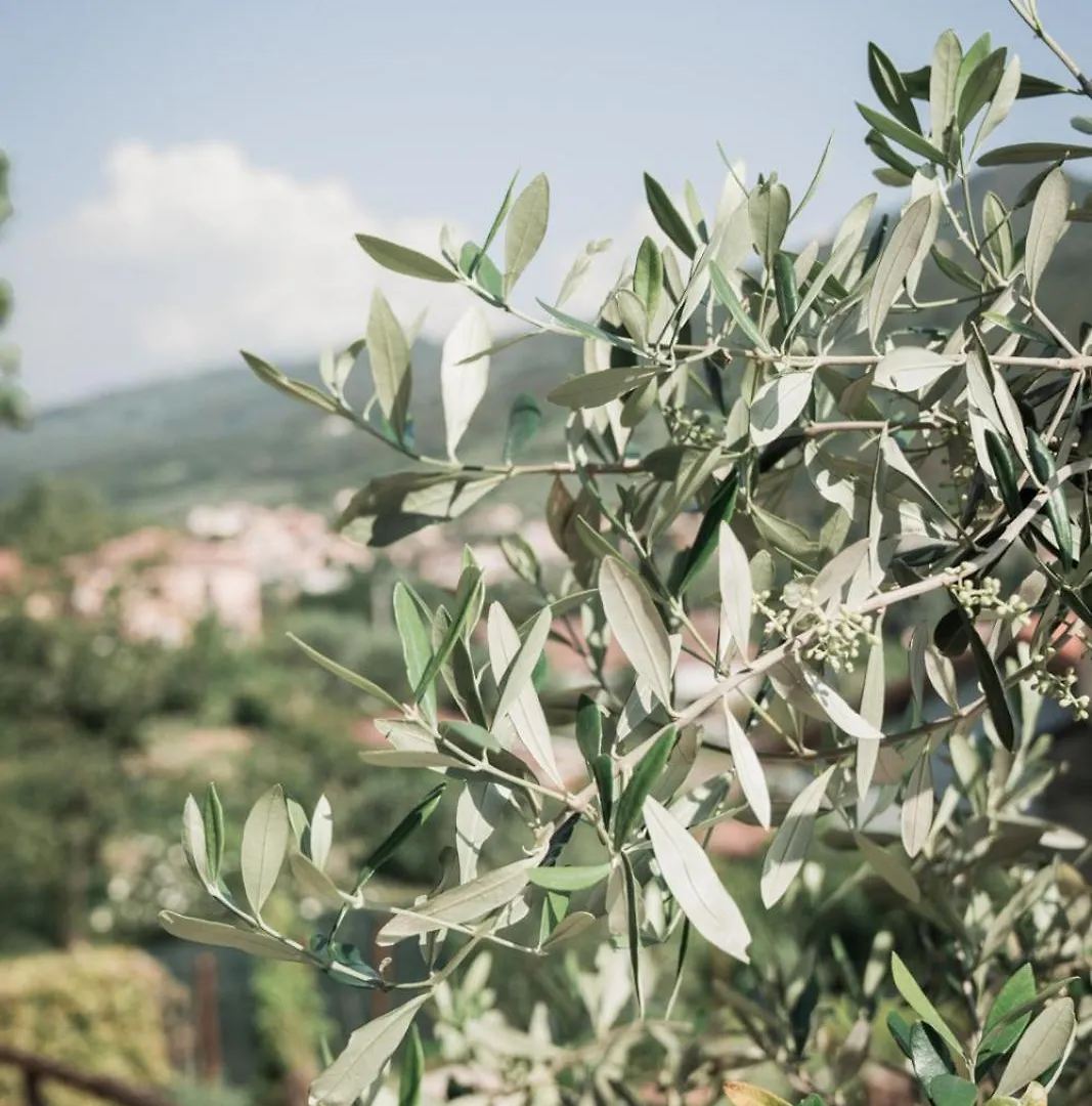 Borgata Cantone Country House B&B Garlenda İtalya