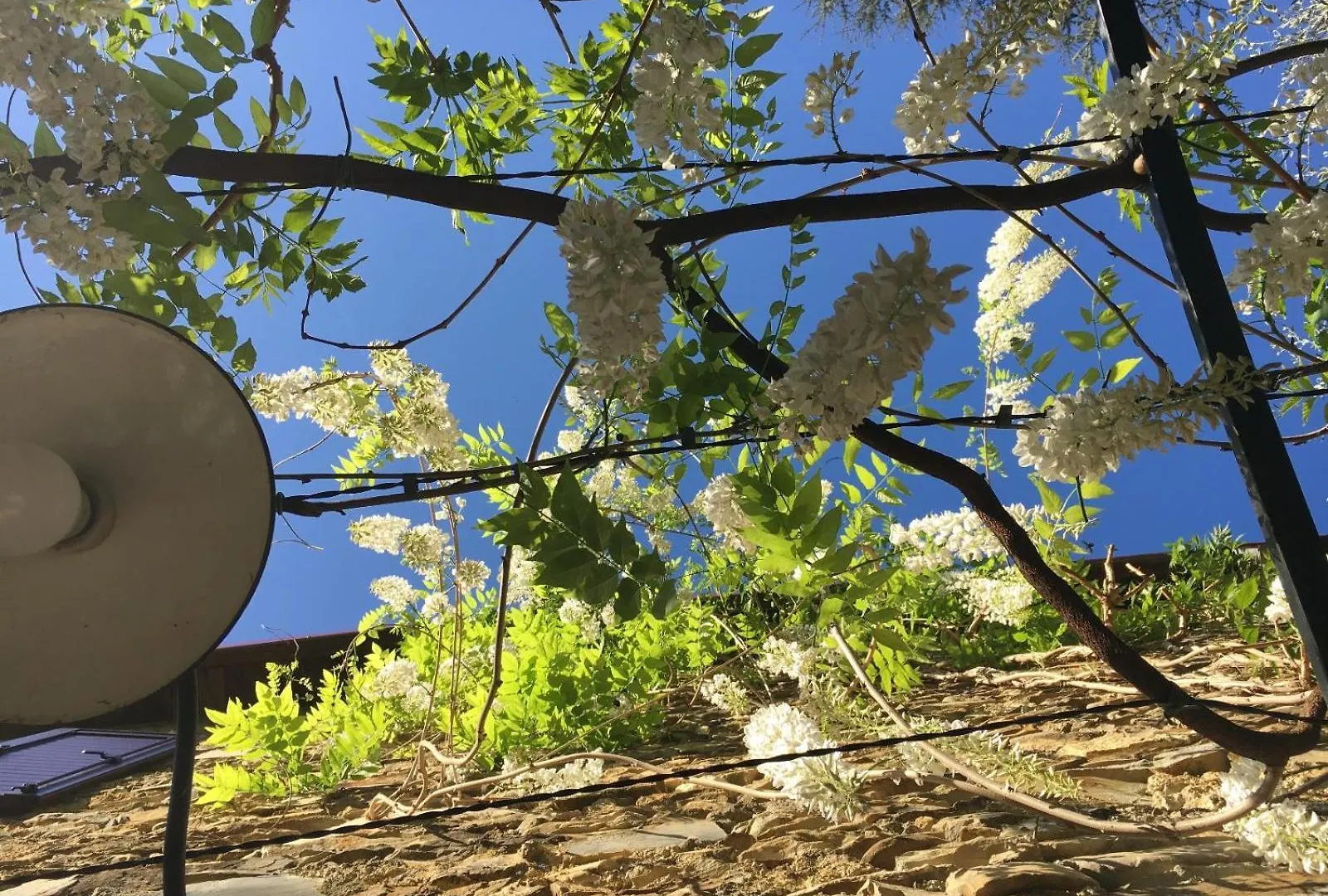 Borgata Cantone Country House B&B Garlenda Bed & Breakfast